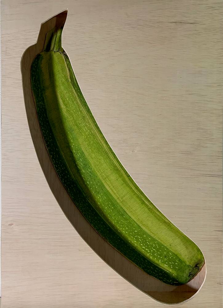 Zucchini XL